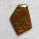 Ammolite