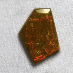 Ammolite