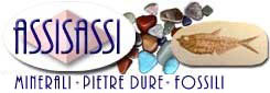 Assisassi